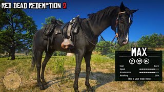 The Most Underrated Horse in Red Dead Redemption 2  Black Arabian  RDR2  PS4 Slim [upl. by Arvonio]