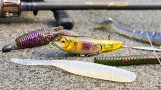 Bait Finesse Tricks You Have To Try BFS Fishing Tips For Summer And Fall [upl. by Aiyotal]