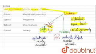 Most appropriate term for the life cycle of Obelia is [upl. by Sul]