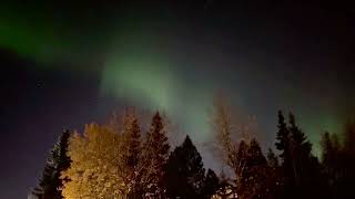 Alaska Northern Lights Above Fall Foliage Offer a Return Performance [upl. by Tillo380]