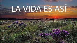 La vida es asi [upl. by Luther1]