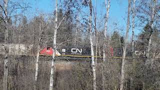 CN 5423 L519 Arrival at West Ladysmith on 11824 [upl. by Niriam]