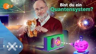 Wie funktioniert Quantenmechanik Quantenphysik erklärt Teil 2  Harald Lesch  Terra X Lesch amp Co [upl. by Annodas399]