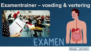 Examentrainer  Voeding amp vertering [upl. by Bartie]