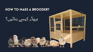 How To Make A Chick Brooder  چوزوں کا بروڈر کیسے بنائیں؟  Tutorial  Vlog 🐥🏠 [upl. by Vanny]