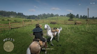 Red Dead Redemption 2【2】catch the white arabian horse【荒野大镖客2】寻找白色阿拉伯马 [upl. by Anyaled]