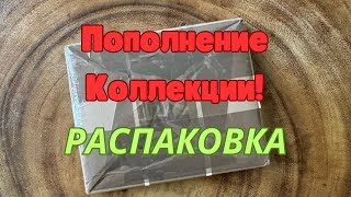 64 Пополнение Коллекции Музыки  Распаковка  Обзор [upl. by Lanette22]