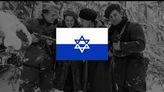 Song of the Jewish Partisans  Hebrew [upl. by Mcallister239]