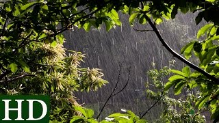 Pluie  Bruit de la Pluie et Nature  Relaxation Dormir [upl. by Vihs]