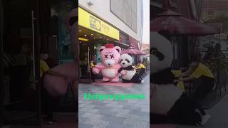 cute panda video panda shorts [upl. by Inoue806]