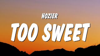 Hozier  Too Sweet Lyrics quotyoure too sweet for me i take my whiskey neatquot [upl. by Branden]