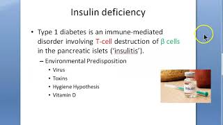 Medicine Insulin Deficiency Causes Reasons why is less Diabetes Mellitus Type 1 MODY Genes [upl. by Beker]