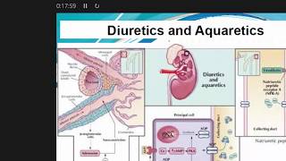 CardioRenal Syndrome Dr adel shabana [upl. by Nnyloj363]