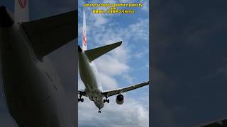 🇹🇼 how to plane spot in Taipei Songshan airport Taiwan shorts [upl. by Stokes]