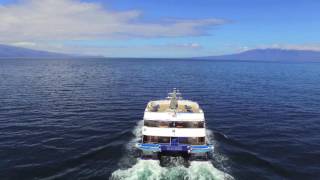 Cruise the Galapagos Islands on the Ocean Spray and Cormorant  Goway Travel [upl. by Singh784]