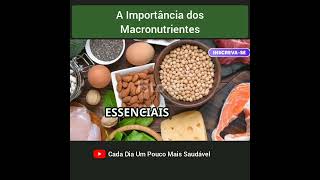 A Importância dos Macronutrientes nutrição dieta alimentacaosaudavel [upl. by Dannica]