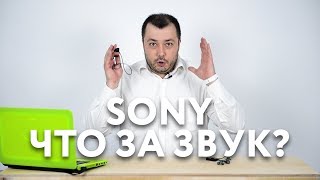 Спортивные гарнитуры от Sony WI SP500  WI SP600N [upl. by Ained913]