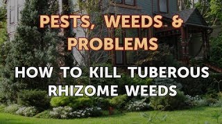 How to Kill Tuberous Rhizome Weeds [upl. by Notyrb]