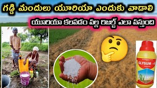 గడ్డి మందులు యూరియా ఎందుకు కలపాలి  Herbicides Mode of Action  Roundup Herbicide glyphosate 41 [upl. by Clancy]