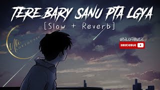 Tere Bare Sanu Pata lageya jahan tu  Slow  Reverb [upl. by Yanarp356]