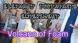 Elephant Toothpaste Experiment  Volcano of Foam  Decomposition of Hydrogen Peroxide [upl. by Maer]