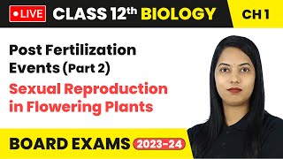 Post Fertilization Events Part 2  Class 12 Biology Chapter 1  LIVE [upl. by Yelad]