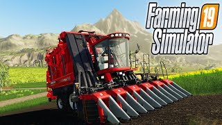 ТЕХНИКА ДЛЯ УБОРКИ ХЛОПКА FARMING SIMULATOR 19 [upl. by Jarv]