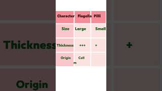 Flagella vs pili  HOLOGY viralshort [upl. by Najed]