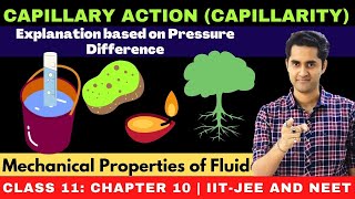 Mechanical Properties of fluid  Capillary action  Capillarity class 11 chapter 10  JEE  NEET [upl. by Airrehs870]