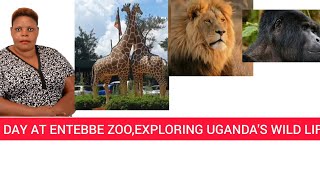 A DAY AT ENTEBBE ZOOEXPLORING UGANDAS WILD LIFE [upl. by Aimas]