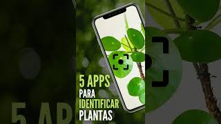 5 Aplicaciones GRATIS para Identificar tus Plantas 🌱 shorts [upl. by Montano]