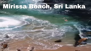 shorts 🏖️🌊 Feel the Magic of Mirissa Beach Sri Lanka 🇱🇰🌞 srilanka travel adventure fypシ゚ [upl. by Blinny]