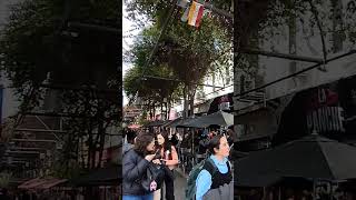 Calle San Martin Peatonal Córdoba Argentina 🇦🇷⚽ [upl. by Ahsiki]