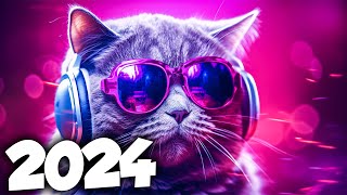 MÚSICA ELETRÔNICA 2024 🔥 AS MÚSICAS ELETRÔNICAS MAIS TOCADAS 🔥 Alok Vintage Culture amp David Guetta [upl. by Knick]