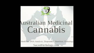 Australian Medicinal Cannabis [upl. by Ialokin]