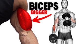 Effective Biceps Workout to Build Biceps Muscle [upl. by Ginsburg]