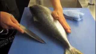 How to fillet Kingfish with Deba knife [upl. by Lidstone791]