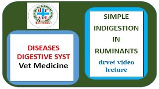 Simple indigestion in ruminants [upl. by Patton451]