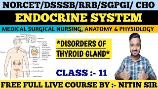 ENDOCRINE SYSTEM Medical Surgical Nursing CLASS 11FREE LIVE COURSE NORCETDSSSBRRB freeclasses [upl. by Isyed]