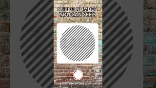 Which Number You an See 👀👀  Test your eyes 👀 riddles test quiz competition iq shorts puzzle [upl. by O'Doneven355]