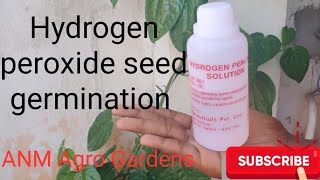 Hydrogen peroxide seed germination [upl. by Leonor]