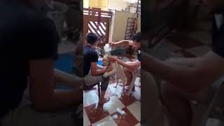 Cleaning of cherry BATHING with shampoo Cherry The Labrador Puppy [upl. by Aihsenat]