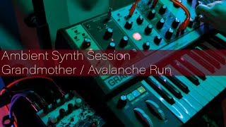 Ambient Synth Session 1  Grandmother  Avalanche Run [upl. by Eberhart]