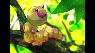 Weedle Pokemon number 13 in Pokedex AMV [upl. by Phyllida]