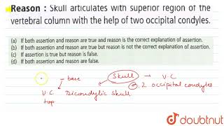 Assertion Human has dicondylic skull Reason [upl. by Filia]