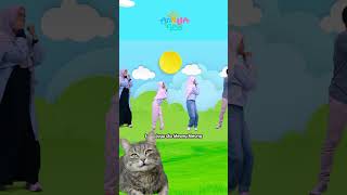 Sudah Rilis ya Meong Meong Kucing Laper  Arinaga Family Shorts musikpositif kucing [upl. by Adleremse]