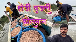 होडी बुडली कोलमान  transparent 🦐 prawn species fishing Mumbai India fishing [upl. by Eeliab]