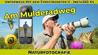 Naturfotografie  Ein Stück Mulderadweg bewusst erleben  Insta360 X4  Sony A6700  SEL70200 GII [upl. by Trenton]