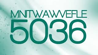 MNITWAWVEFLE5036Niginheoondarnesiotainmentifys quotWalkway 20quot Logo April 06 24 [upl. by Elburt]