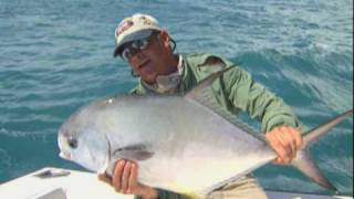 Permit Fishing and Snook Fishing off Tampa Bay and Marco Island [upl. by Ainet714]